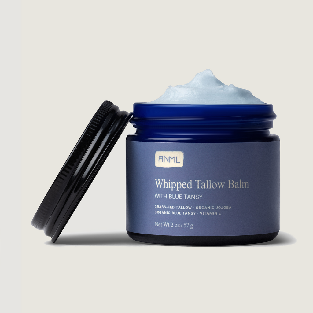 Aufgeschlagener Talg-Balsam mit Blauem Rainfarn